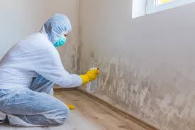  Yarrow Point, WA Mold Removal Pros