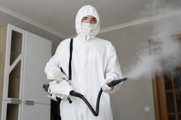 Best Black Mold Removal in Yarrow Point, WA